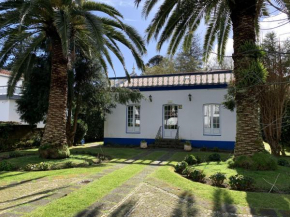 Casa Delft, Furnas